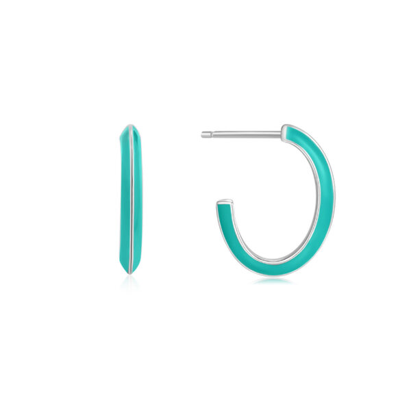 Ania Haie Earrings E028-04H-T