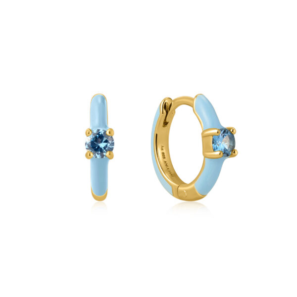 Ania Haie Earrings E028-05G-B