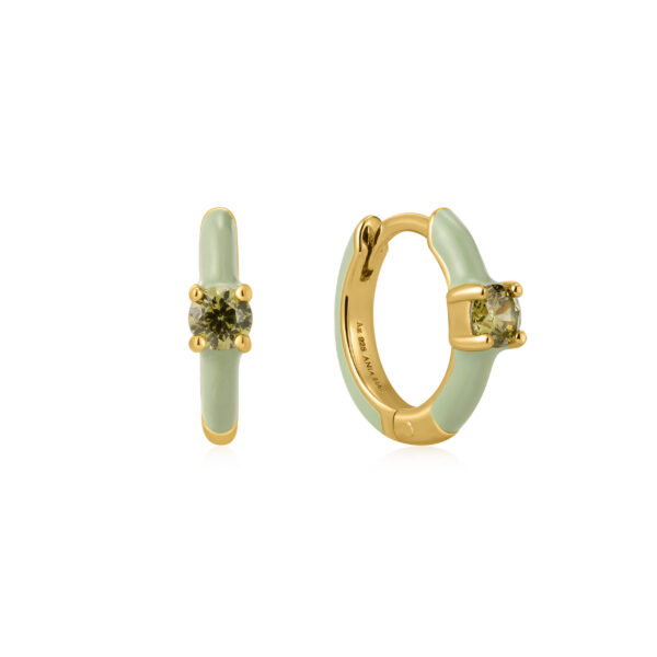 Ania Haie Earrings E028-05G-G