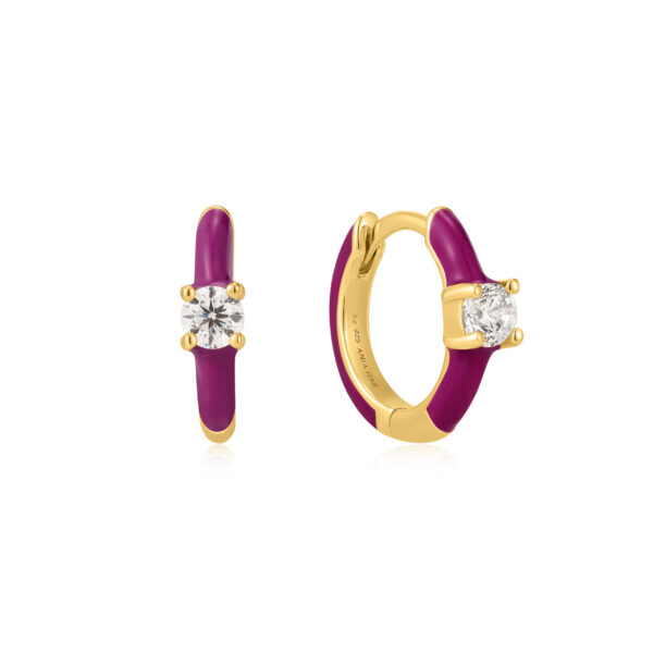 Ania Haie Earrings E028-05G-R