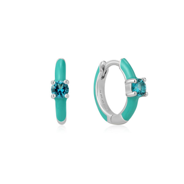 Ania Haie Earrings E028-05H-T