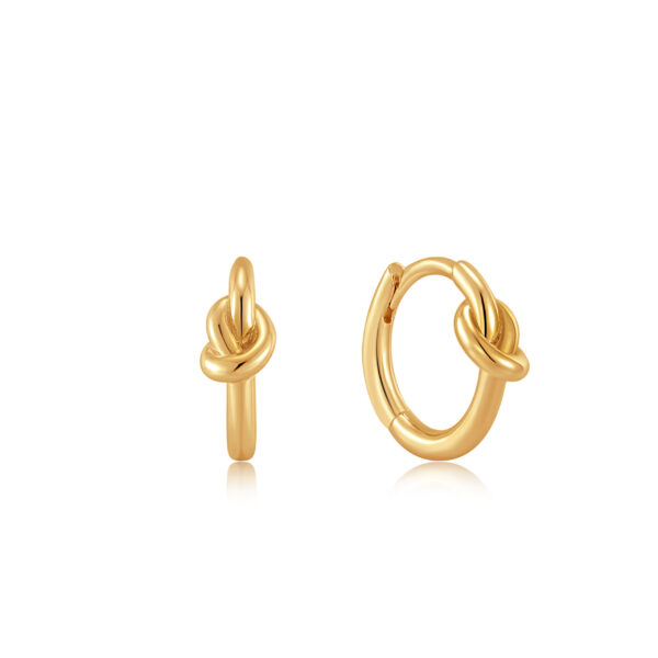 Ania Haie Earrings E029-04G