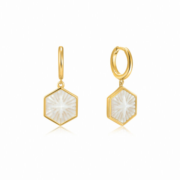 Ania Haie Earrings E030-04G