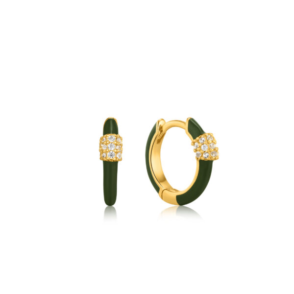Ania Haie Earrings E031-01G-G