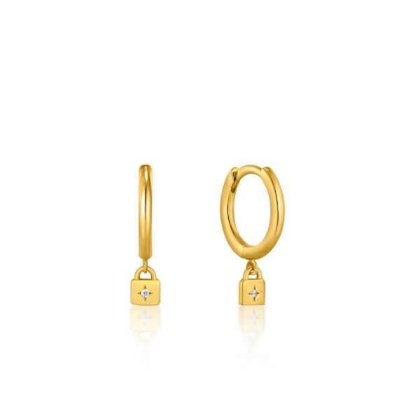 Ania Haie Earrings E032-01G