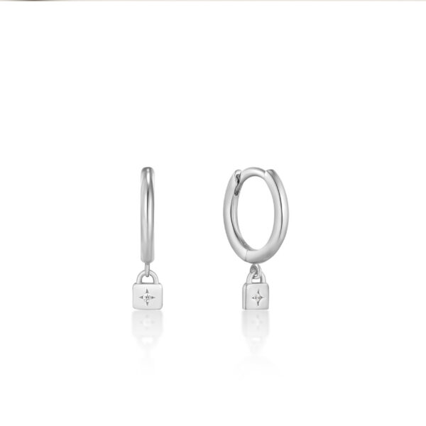 Ania Haie Earrings E032-01H