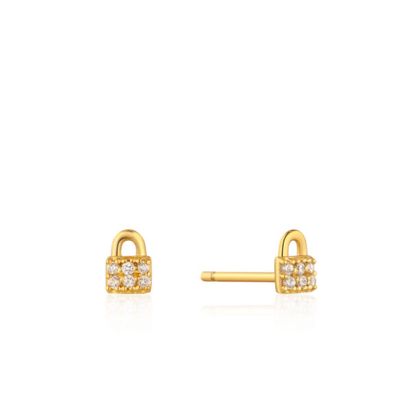 Ania Haie Earrings E032-03G