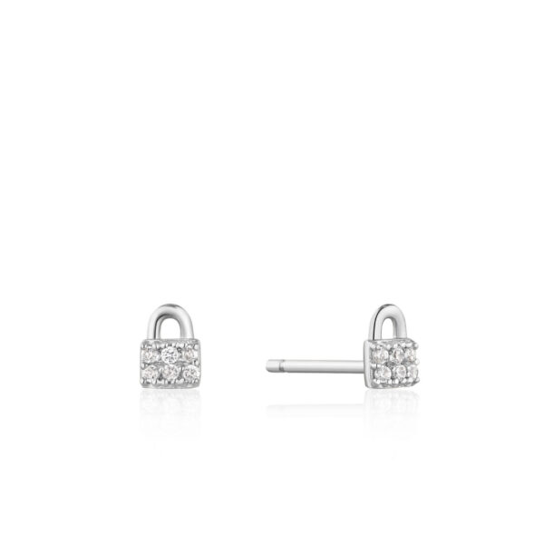Ania Haie Earrings E032-03H