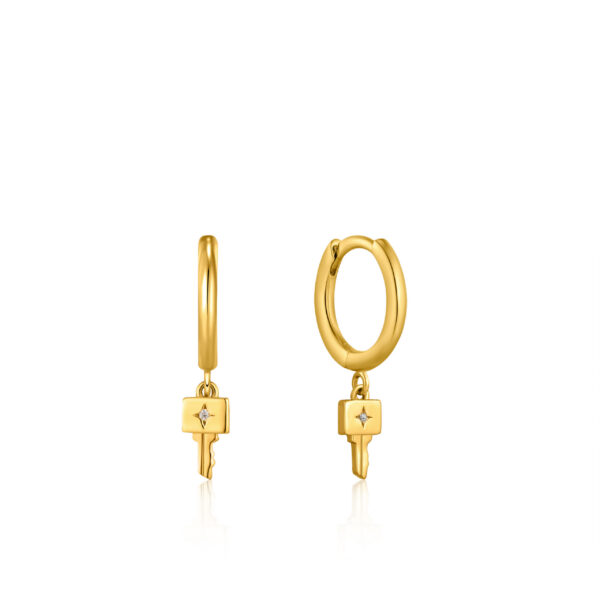 Ania Haie Earrings E032-04G
