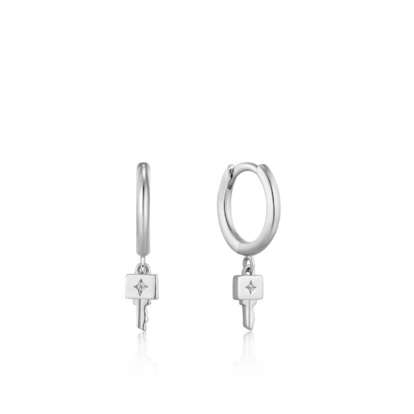Ania Haie Earrings E032-04H