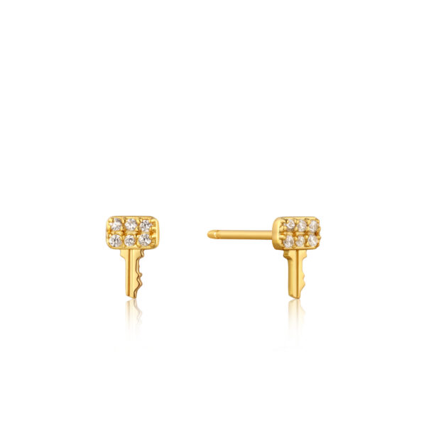 Ania Haie Earrings E032-05G