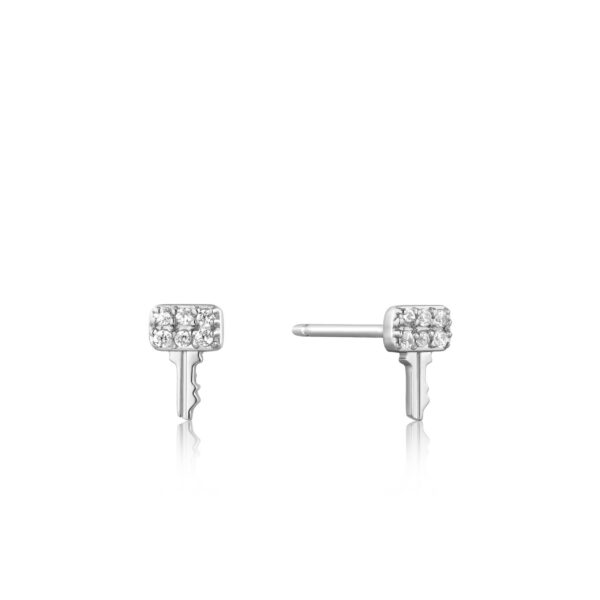 Ania Haie Earrings E032-05H