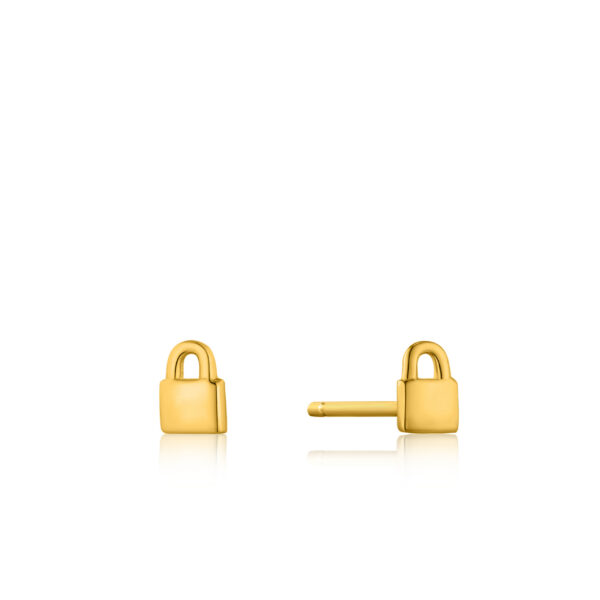 Ania Haie Earrings E032-99G