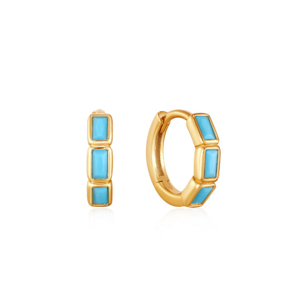 Ania Haie Earrings E033-04G