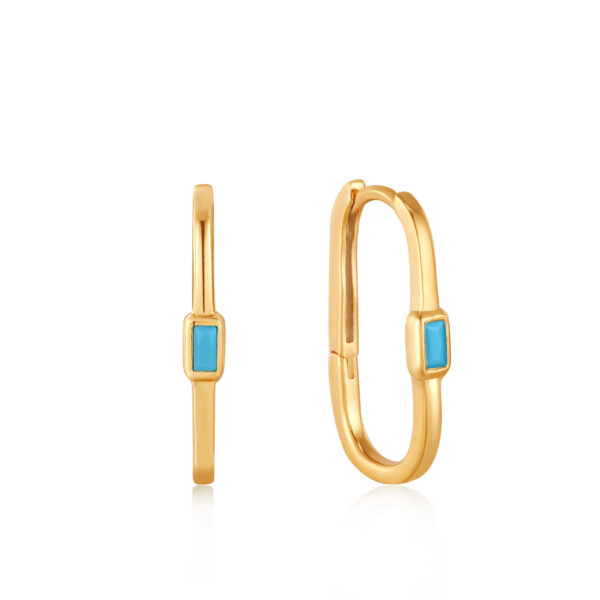 Ania Haie Earrings E033-05G