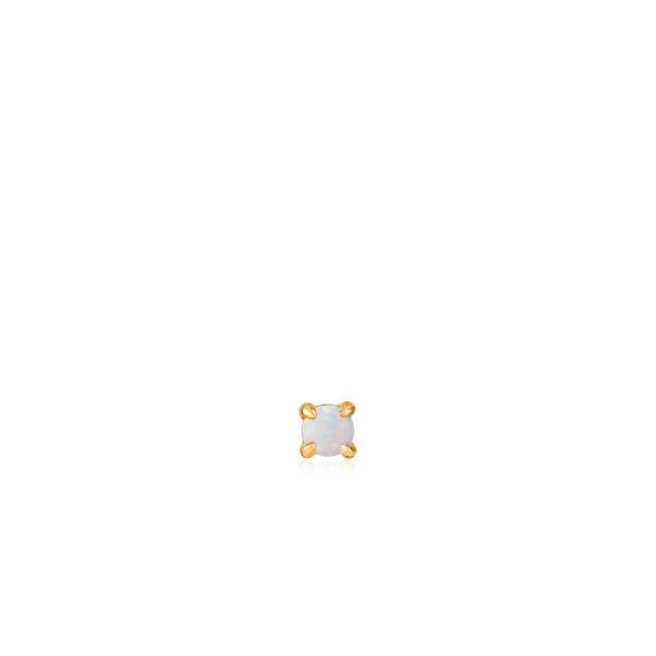Ania Haie Earrings E034-01G