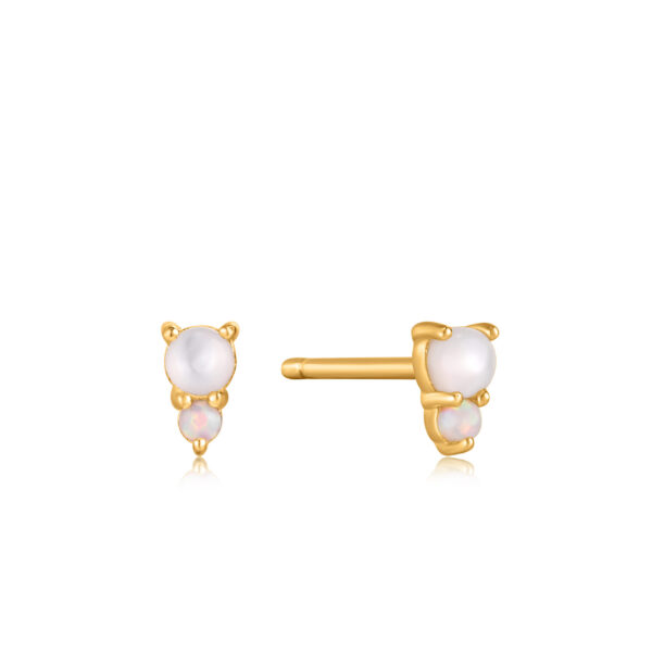 Ania Haie Earrings E034-02G