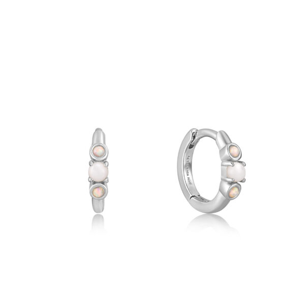 Ania Haie Earrings E034-03H