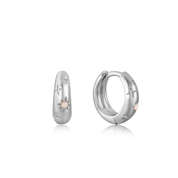 Ania Haie Earrings E034-05H