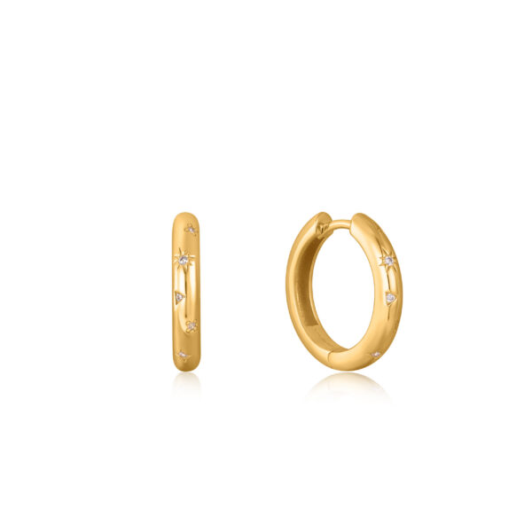 Ania Haie Earrings E034-06G
