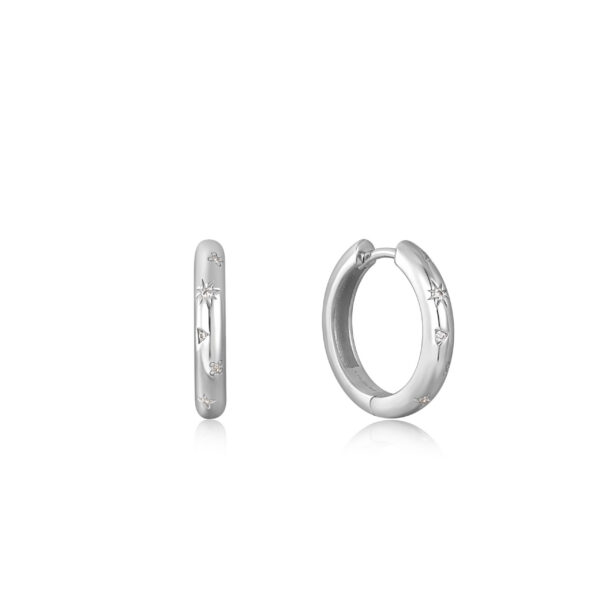 Ania Haie Earrings E034-06H