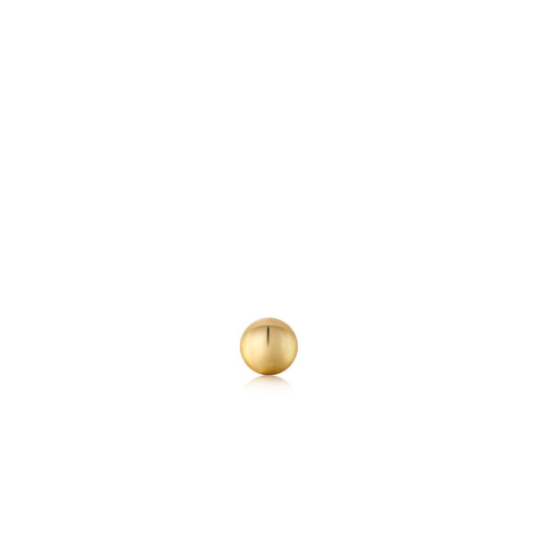 Ania Haie Earring E035-01G