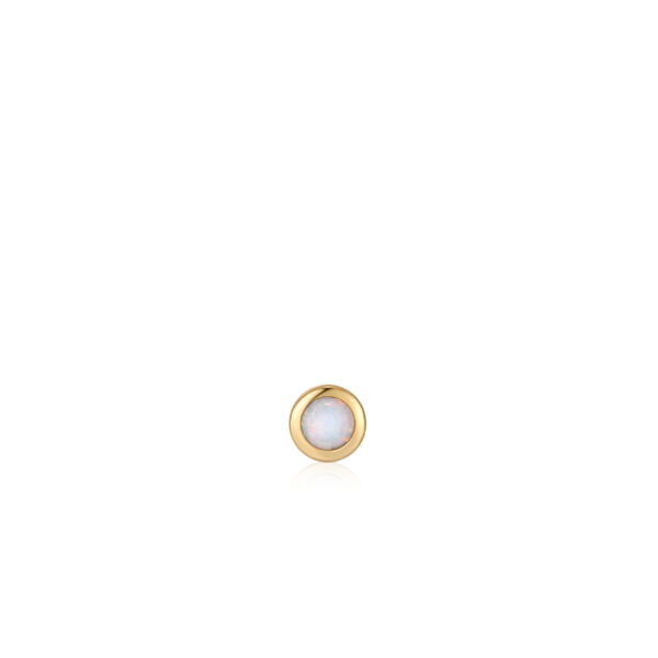 Ania Haie Earring E035-11G