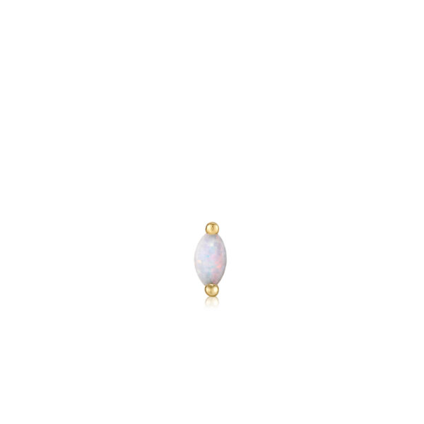 Ania Haie Earring E035-12G