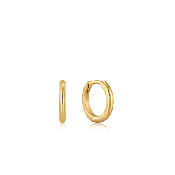 Ania Haie Earrings E035-14G