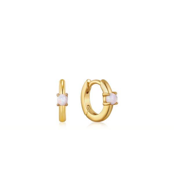 Ania Haie Earrings E035-15G