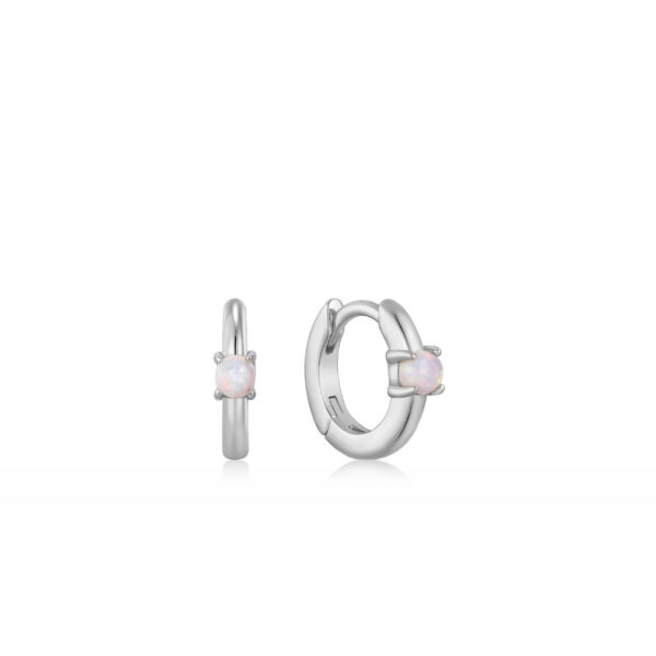 Ania Haie Earrings E035-15H