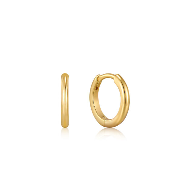 Ania Haie Earrings E035-16G
