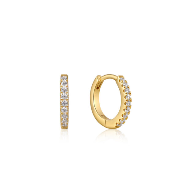 Ania Haie Earrings E035-17G