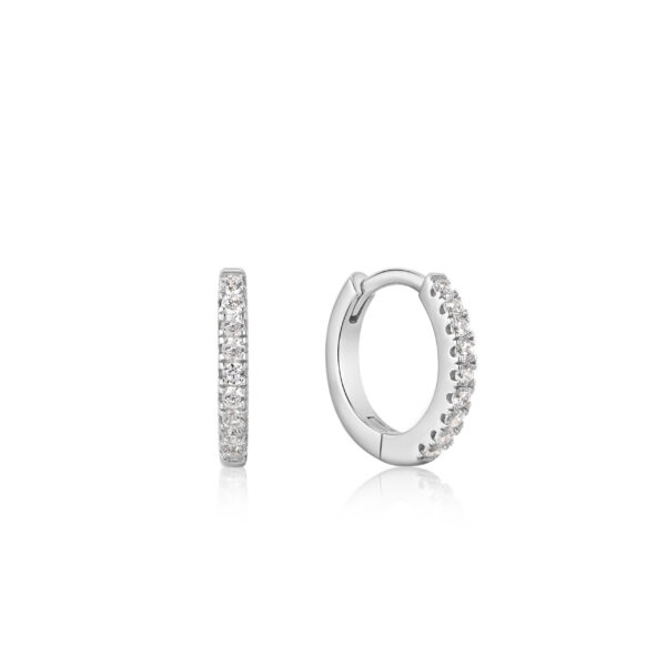 Ania Haie Earrings E035-17H