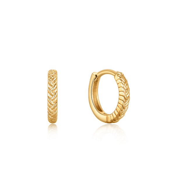 Ania Haie Earrings E036-03G