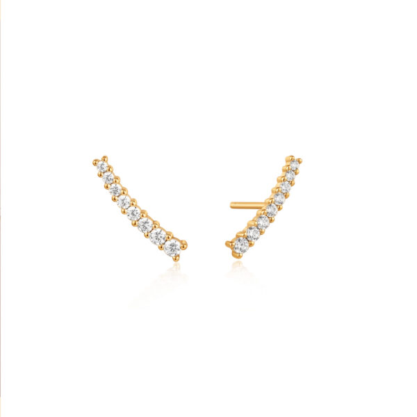 Ania Haie Earrings E037-03G
