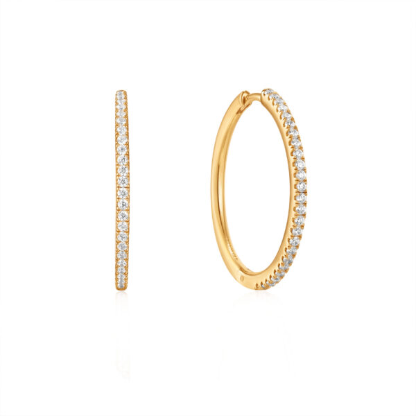 Ania Haie Earrings E037-07G