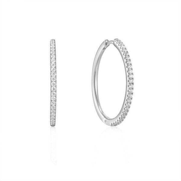 Ania Haie Earrings E037-07H