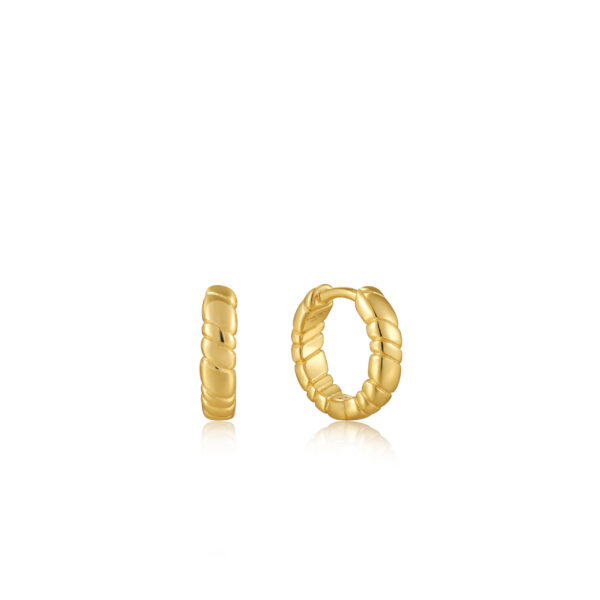 Ania Haie Earrings E038-02G