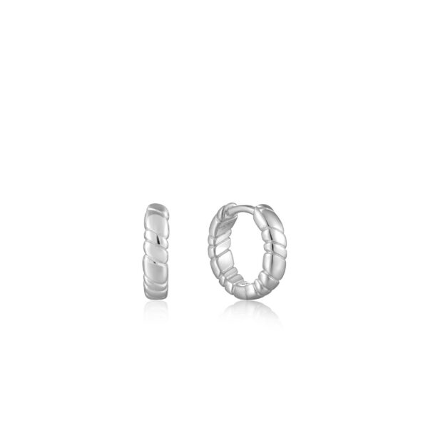 Ania Haie Earrings E038-02H