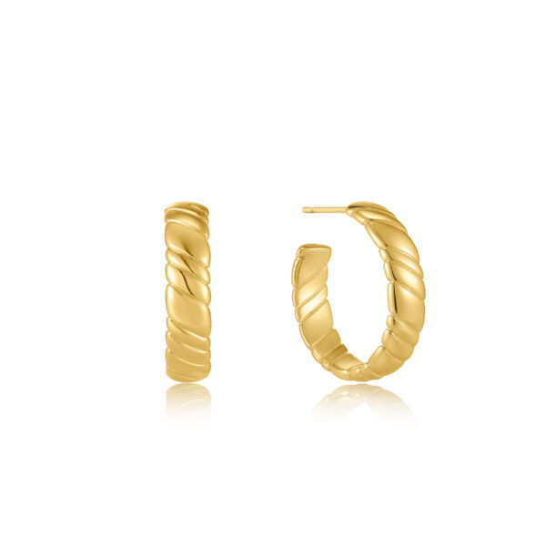Ania Haie Earrings E038-03G