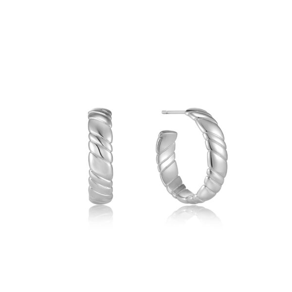 Ania Haie Earrings E038-03H