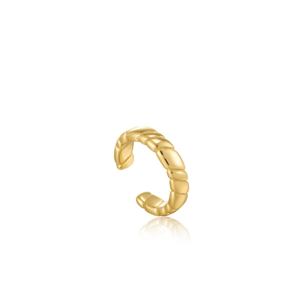 Ania Haie Earrings E038-04G