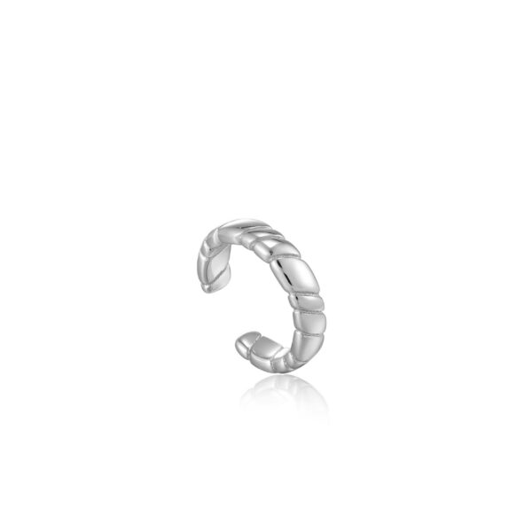 Ania Haie Earrings E038-04H