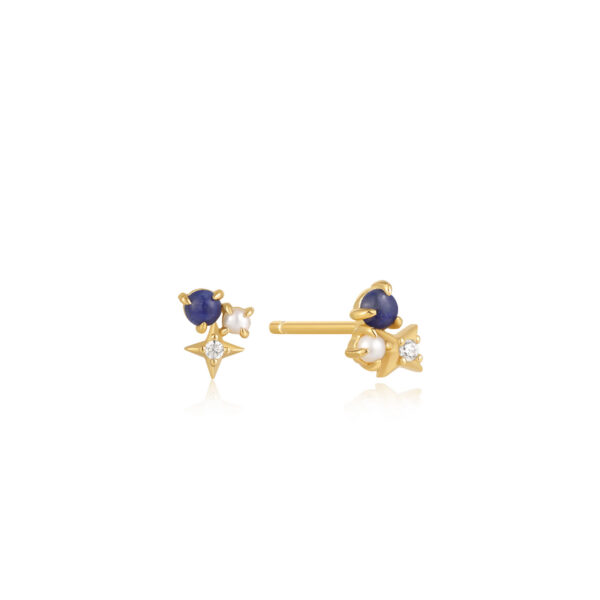 Ania Haie Earrings E039-01G-L