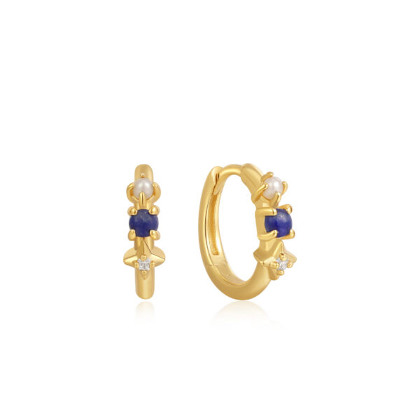 Ania Haie Earrings E039-02G-L