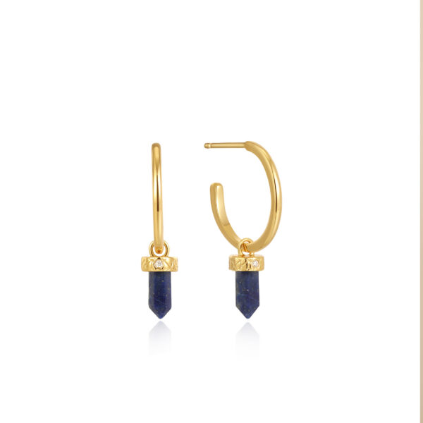 Ania Haie Earrings E039-03G-L