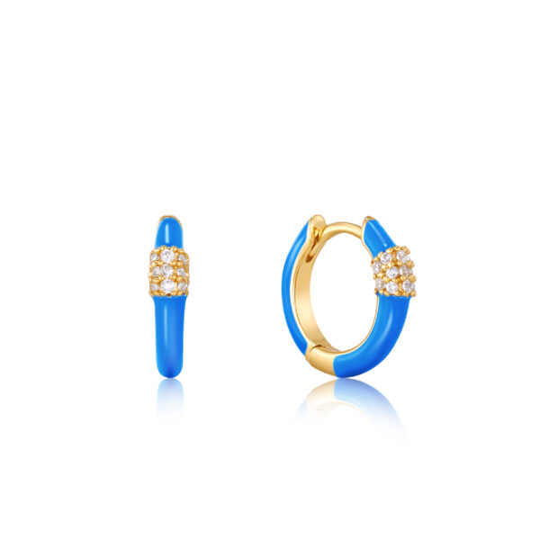 Ania Haie Earrings E040-01G-NB