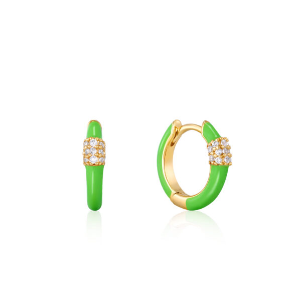 Ania Haie Earrings E040-01G-NG