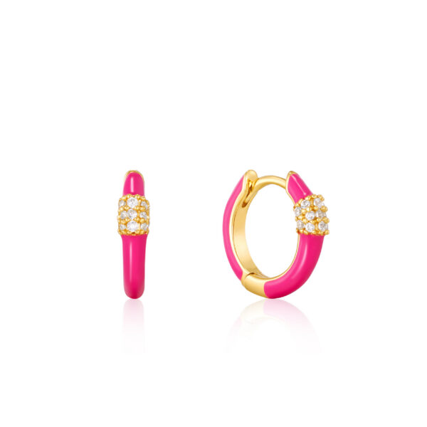 Ania Haie Earrings E040-01G-NP